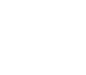 Dr. Barbara Genius, Rechtsanwältin beim Bundesgerichtshof